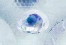 data tracking intelligence report